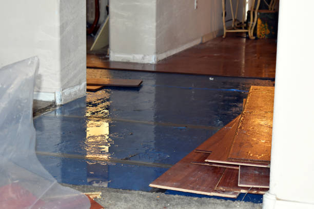 Professional Basement Flood Cleanup technician working in Isle Au Haut, ME